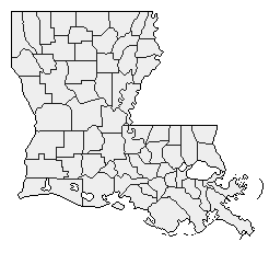 1996 Louisiana County Map of Republican Primary Election Results for President