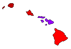 2004 Hawaii County Map of Democratic Primary Election Results for President