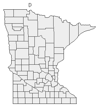 2004 Minnesota County Map of Democratic Primary Election Results for President